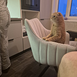 Фото отзыва