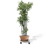 Подцветочница Sheffilton Пальмина 3 артикул ПД2-3-2 черный