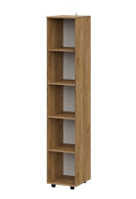 Пенал NN Мебель (МС Байкал К) Дуб Золотой/Графит