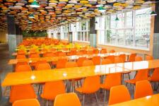 Сидение Sheffilton SHT-ST29 артикул S-193 оранжевый RAL2003