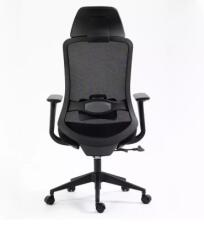 Кресло компьютерное SIGNAL ERGON черный