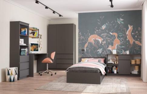 Тумба под ТВ ДСВ (МС Мори) МТВ 1204.1 Графит