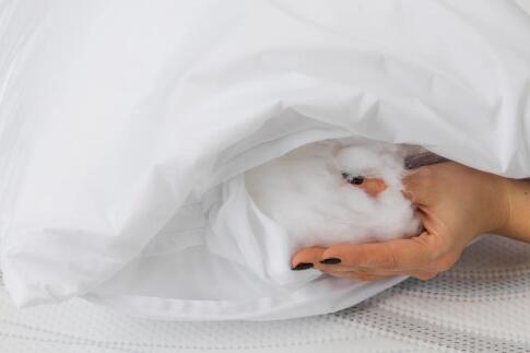 Подушка ASKONA ORGANIC 50х70