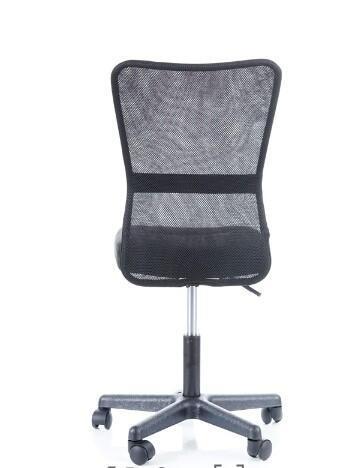 Кресло компьютерное SIGNAL Q-121 черный