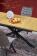 Стол обеденный HALMAR HOLTER дуб золотой/черный 120-160/80