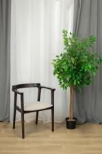 Стул Sheffilton SHT-S203 светлый беж/венге