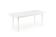 Стол обеденный HALMAR NELSON белый/белый 160-200/90